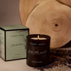 Candela nel bosco