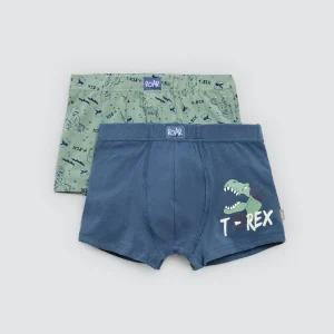 Confezione da 2 boxer per bambini in cotone stampato Roar