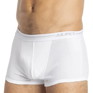 boxer - Julipet -issyk