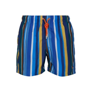 Costume - Gallo - righe multicolor